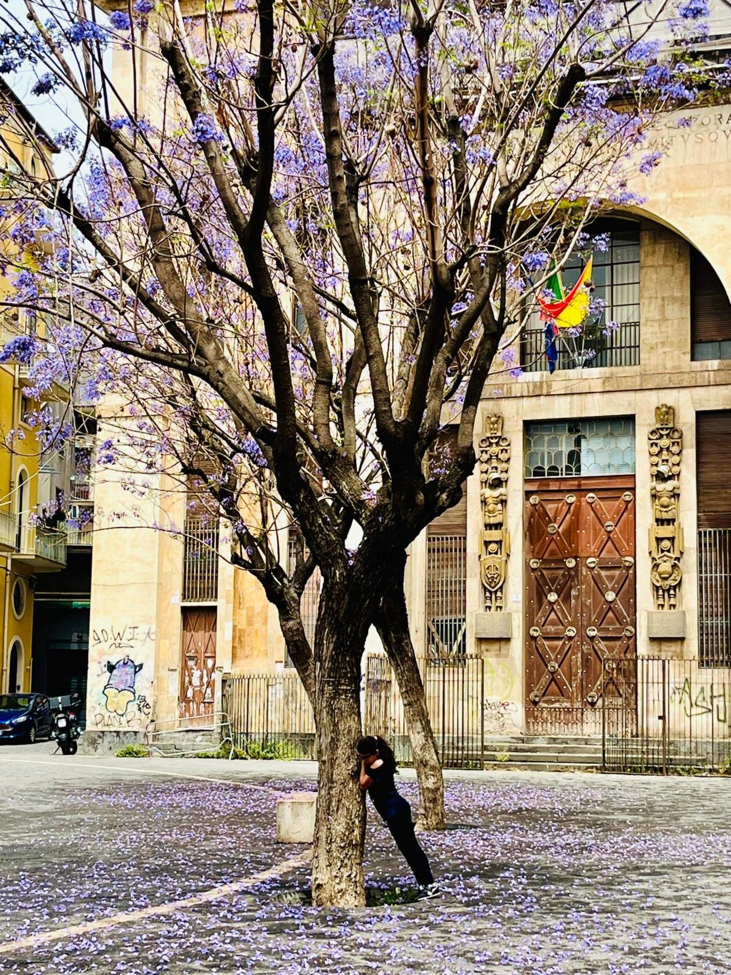 Happy Home Catania Eksteriør billede