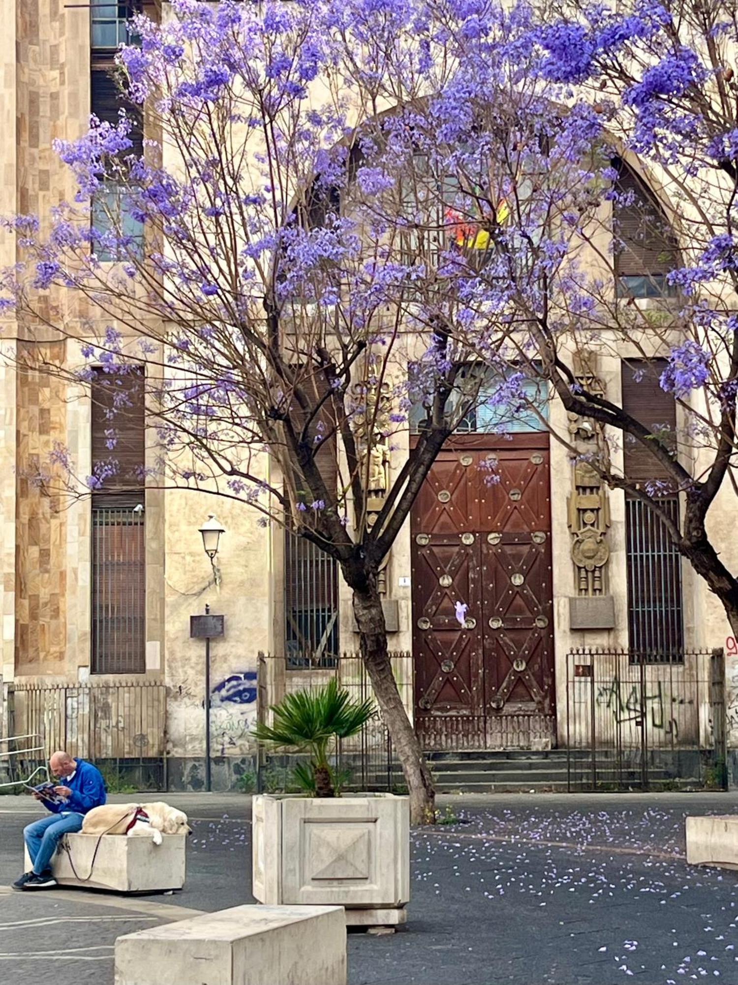 Happy Home Catania Eksteriør billede